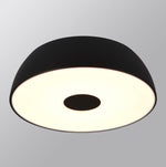 Load image into Gallery viewer, OLINE CEILING LIGHT
