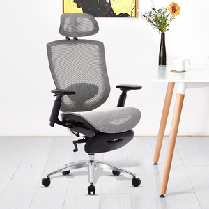 SASS MESH OFFICE CHAIR