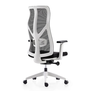Mesh office chair back