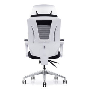 Ergonomic office chair back